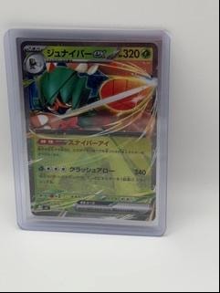 Decidueye EX #12