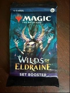 MTG Wilds of Eldraine Set Booster