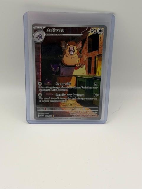 Raticate Stage 1 — Illustration Rare